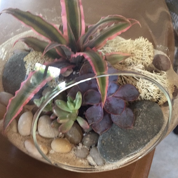 Meet your Posher, Ella - Picture 1 of 1